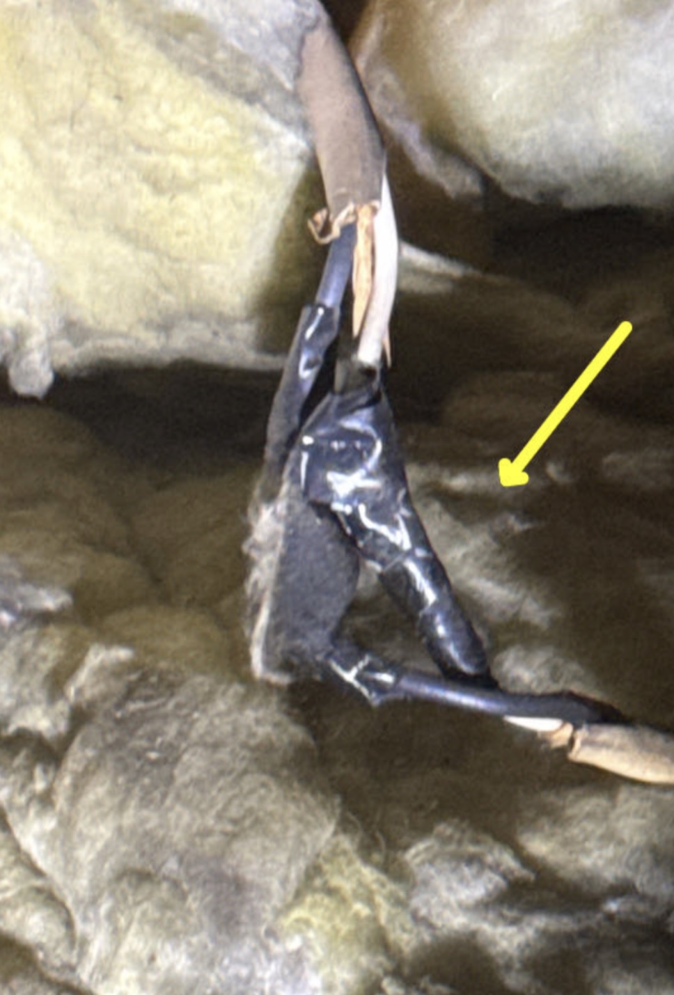 Taped wiring buried in insulation